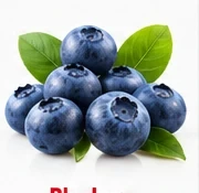 Blueberry ingredient illustration